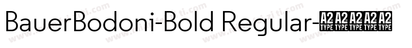 BauerBodoni-Bold Regular字体转换